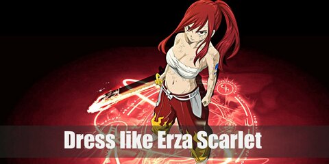 Erza Scarlet Costume