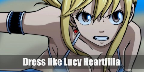 Lucy Heartfilia Fairy Tail Costume