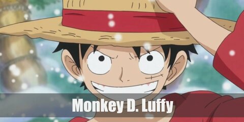 Monkey D. Luffy (One Piece) Costume