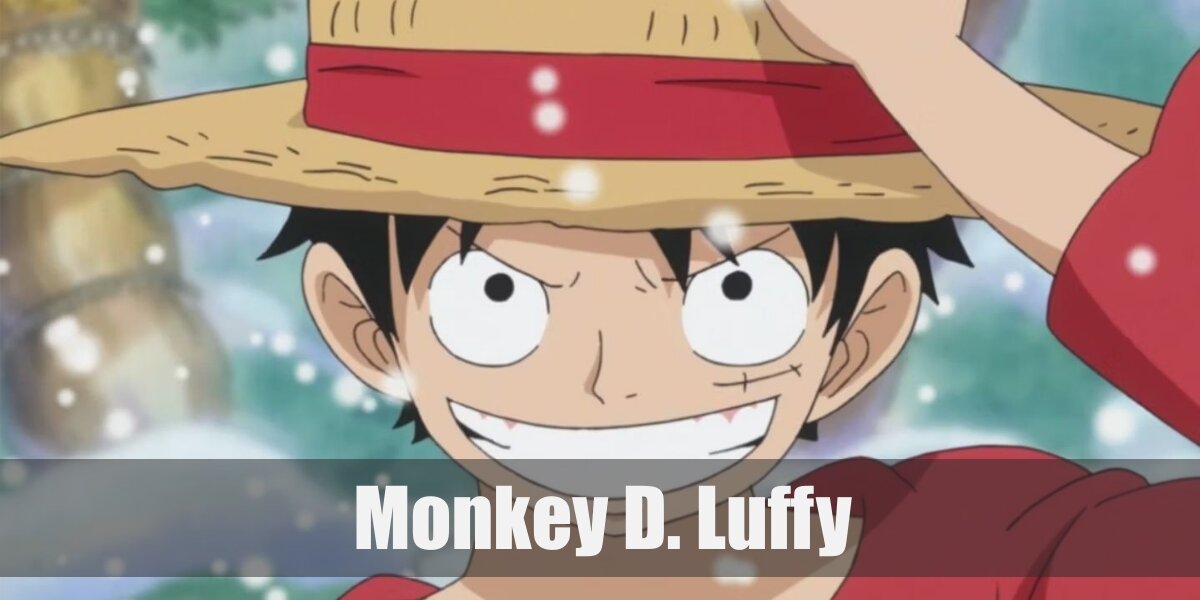 Monkey D. Luffy (One Piece) Costume