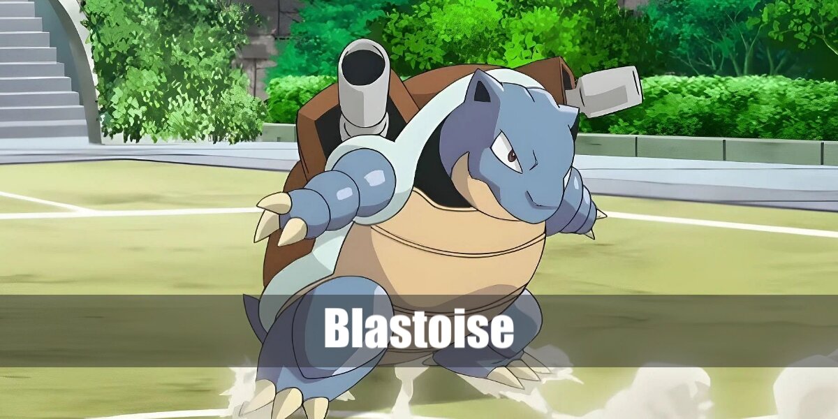 Blastoise's Costume from Pokémon