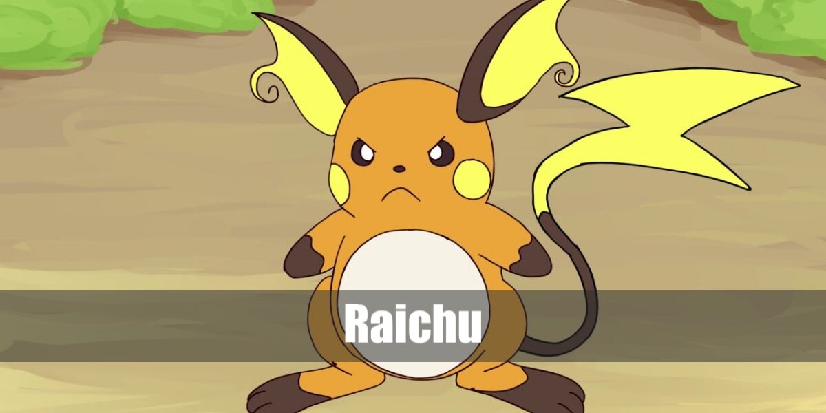 Raichu's Costume from Pokémon
