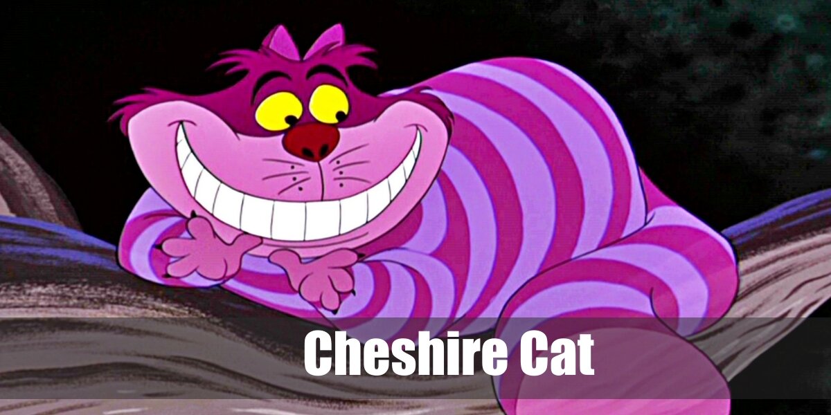 Cheshire Cat Costume