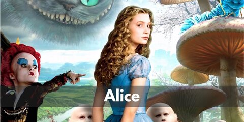 Alice in Wonderland Costume: Blue Dress and Apron (Disney Alice)