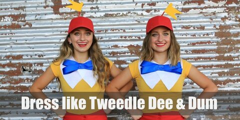 The Tweedle Dee and Tweedle Dum from Alice in Wonderland Costume