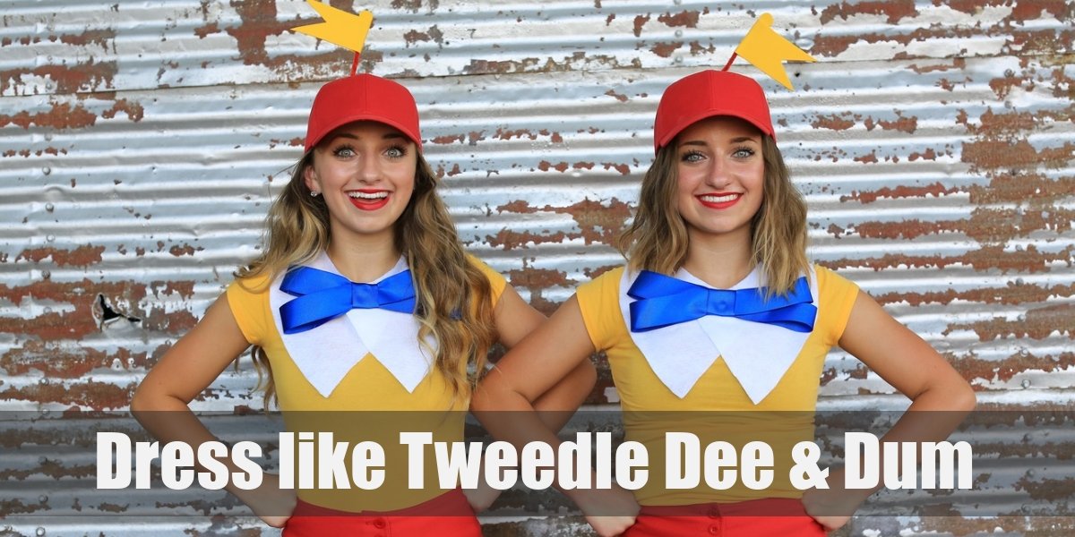 The Tweedle Dee and Tweedle Dum from Alice in Wonderland Costume