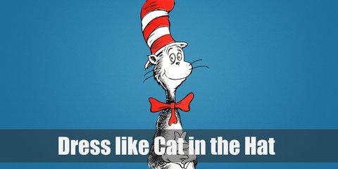 Cat in the Hat Costume