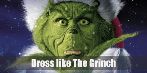 The Grinch (Jim Carrey) Costume