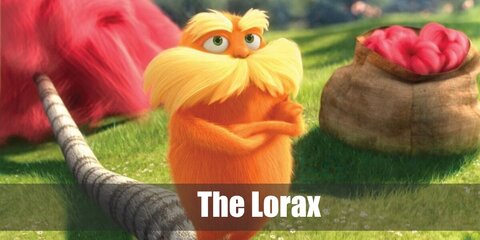 The Lorax's Costume