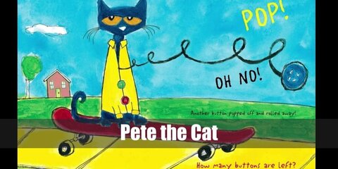 Pete the Cat's Costume