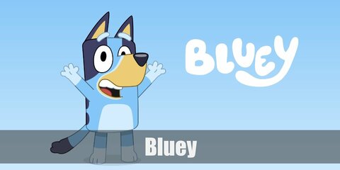 Bluey Costume