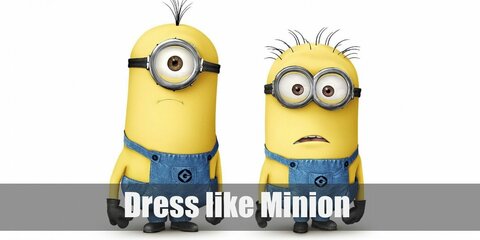 The Minion (Despicable Me) Costume