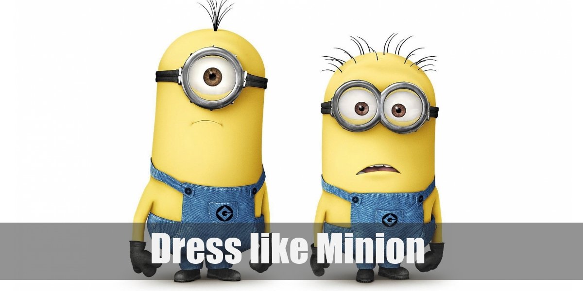 The Minion (Despicable Me) Costume