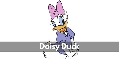 Daisy Duck Costume (Disney)