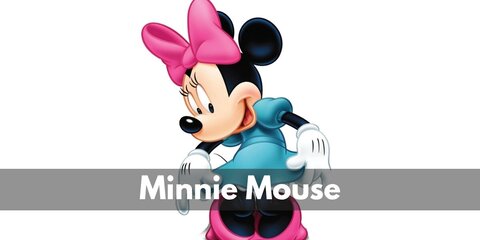 Minnie Mouse Costume and Polka Dot Dress (Disney)