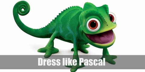Pascal (Tangled) Costume
