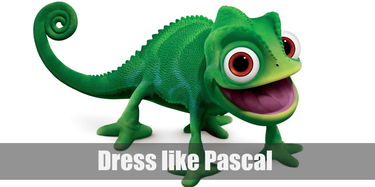 Pascal (Tangled) Costume