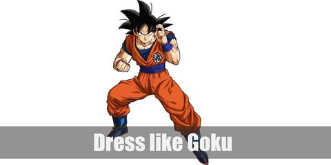 Goku (Dragon Ball) Costume