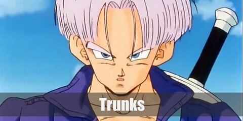 Trunks (Dragon Ball) Costume