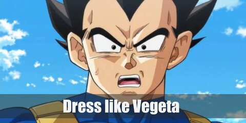 Vegeta (Dragon Ball) Costume