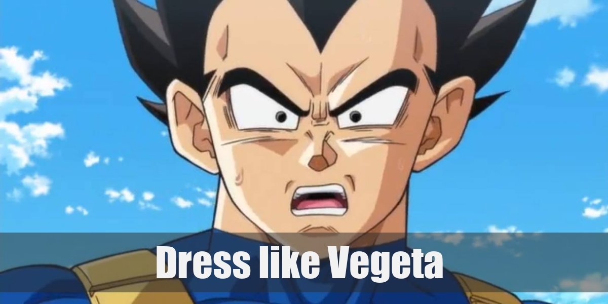 Vegeta (Dragon Ball) Costume
