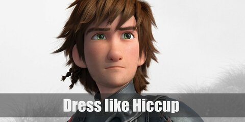 Hiccup (How to Train Your Dragon) Costume