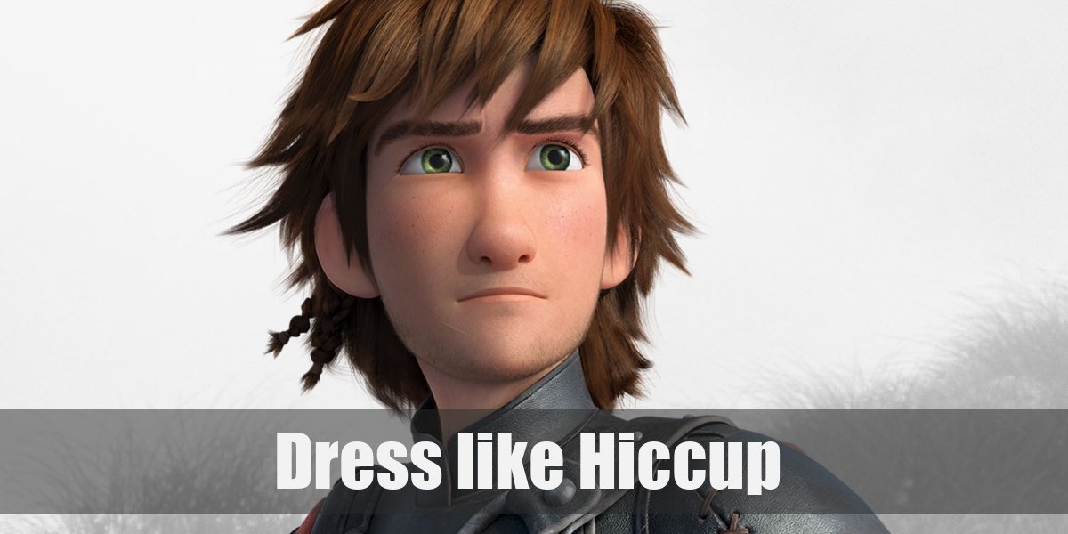 Hiccup (How to Train Your Dragon) Costume