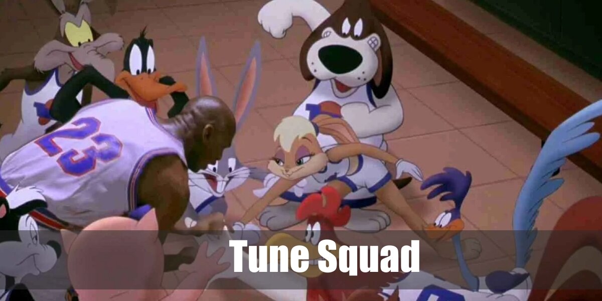 Tune Squad Costume