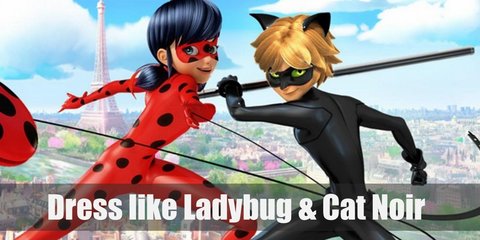 Ladybug & Cat Noir (Miraculous) Costume
