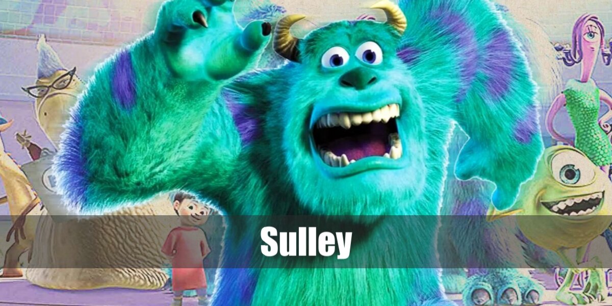Sulley Costume from Monsters, Inc.