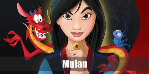 Fa Mulan Costume