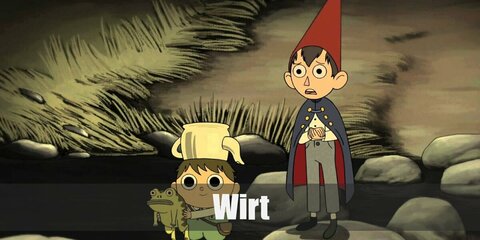 Wirt (Over Garden Wall) Costume