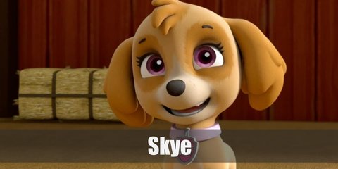 Skye (Paw Patrol) Costume