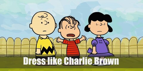 Charlie Brown (Peanuts) Costume