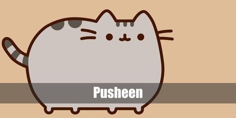 Pusheen Costume