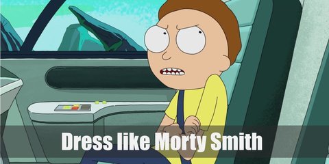 Morty Smith (Rick and Morty) Costume