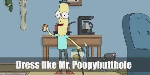 Mr. Poopybutthole (Rick and Morty) Costume