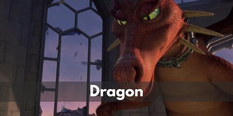 Dragon's Costume from Shrek