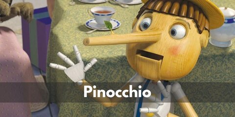 Pinocchio (Shrek) Costume