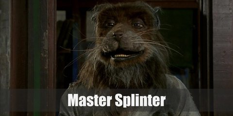Master Splinter (Teenage Mutant Ninja Turtles) Costume