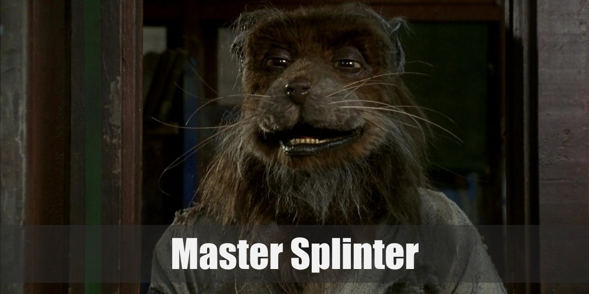 Master Splinter (Teenage Mutant Ninja Turtles) Costume
