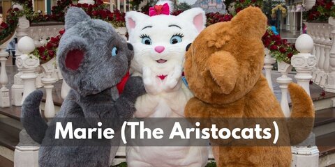 Marie Aristocats Costume (Disney White Kitten with the Pink Bow)