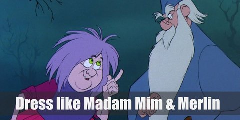 Merlin and Madam Mim Costume