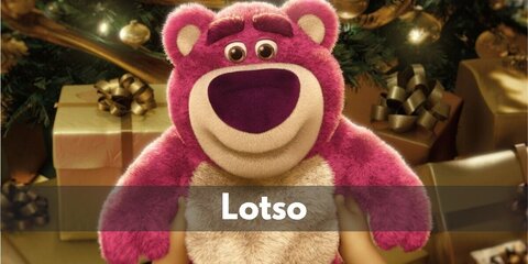Lotso (Toy Story 3) Costume