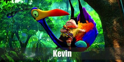 Kevin (Up) Costume