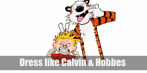 Calvin & Hobbes Costume
