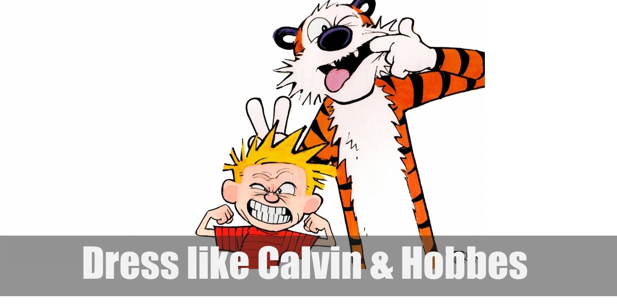 Calvin & Hobbes Costume