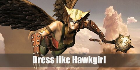 Hawkgirl Costume