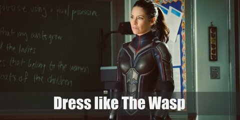 The Wasp Costume