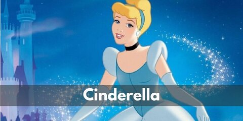 Cinderella Costume and Blue Ball Gown Dress (Disney)